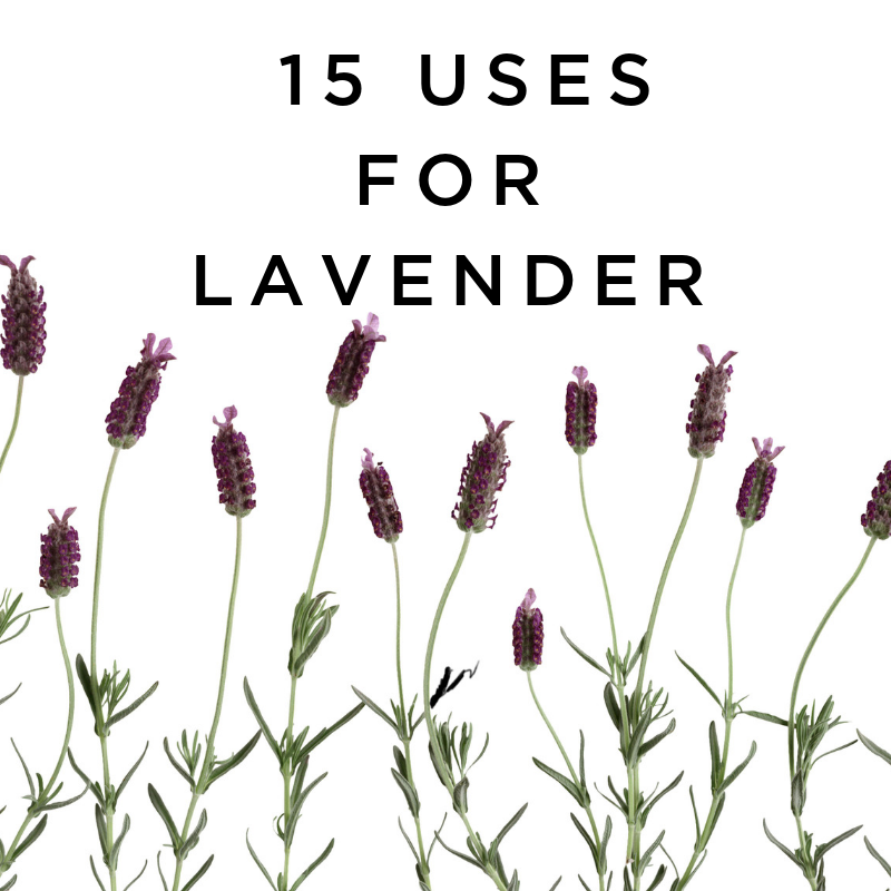 15 Uses for Lavender