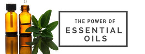 The Power of Essential Oils